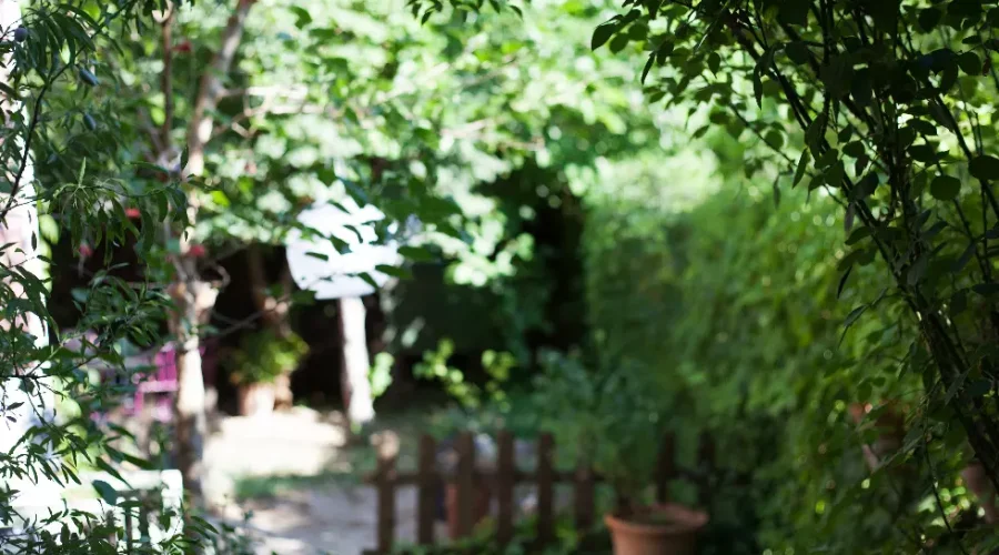 jardin sans entretien